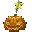 Pumpkin of Luck